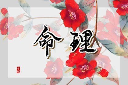 乙未女命|乙未日柱是什么命格 乙未日柱配什么日柱